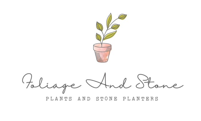 minimal and natural green and brown plant  logo  design