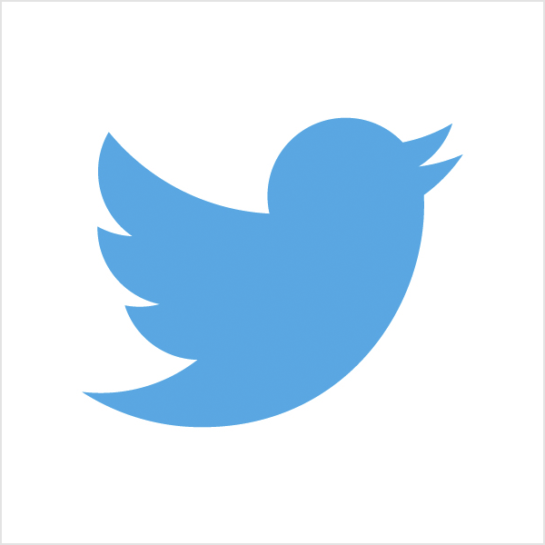 Twitter pictorial mark  logo 