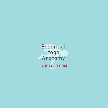 Jason Crandell Yoga  logo 