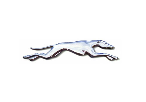 Greyhound logo