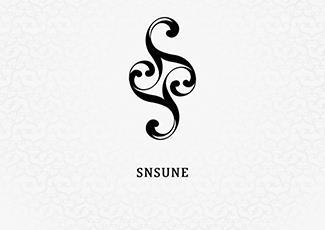 SNSUNE商店標(biāo)志標(biāo)志logo設(shè)計，品牌vi設(shè)計