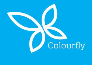 Colourfly商標標志logo設計，品牌vi設計