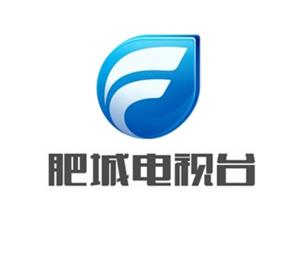 肥城電視臺臺標寓意標志logo設計，品牌vi設計